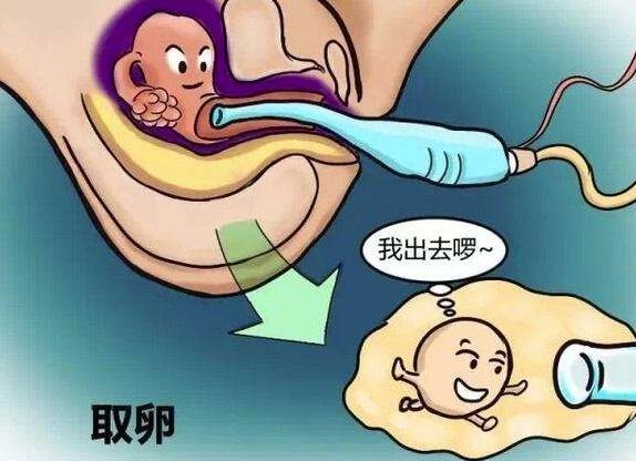 取卵到底有多痛