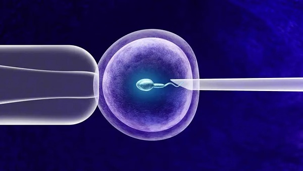 2023钦州钦南区哪个医院可以做试管婴儿？