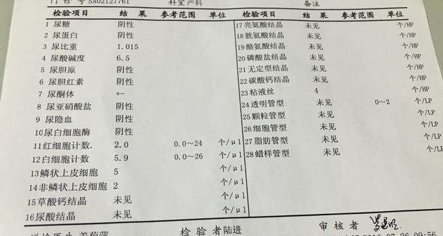 尿酮体阳性多吃饭就能治愈吗，+-是什么意思？