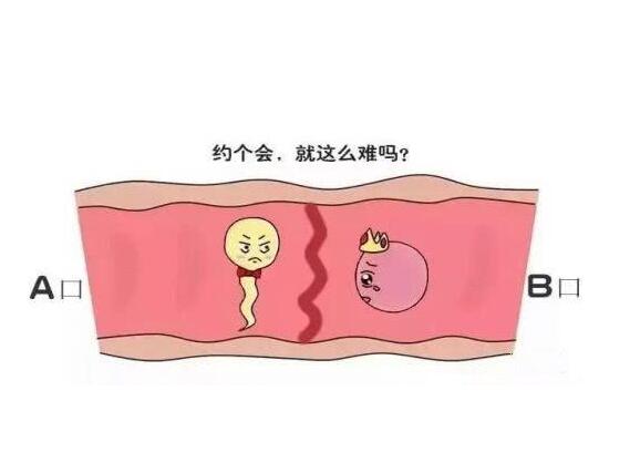 输卵管介入手术后多久能怀孕呢？