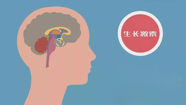 男孩生长激素缺乏对精子的影响是什么？