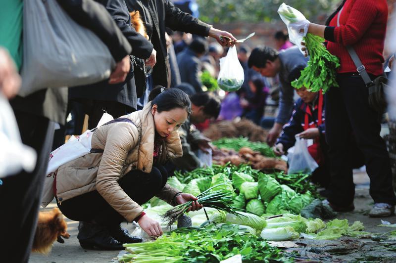 孕妇梦见自己在菜市场买菜跟别人吵架好不好-