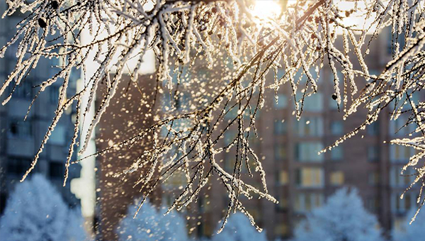 孕晚期梦见下着鹅毛般的雪是什么意思？