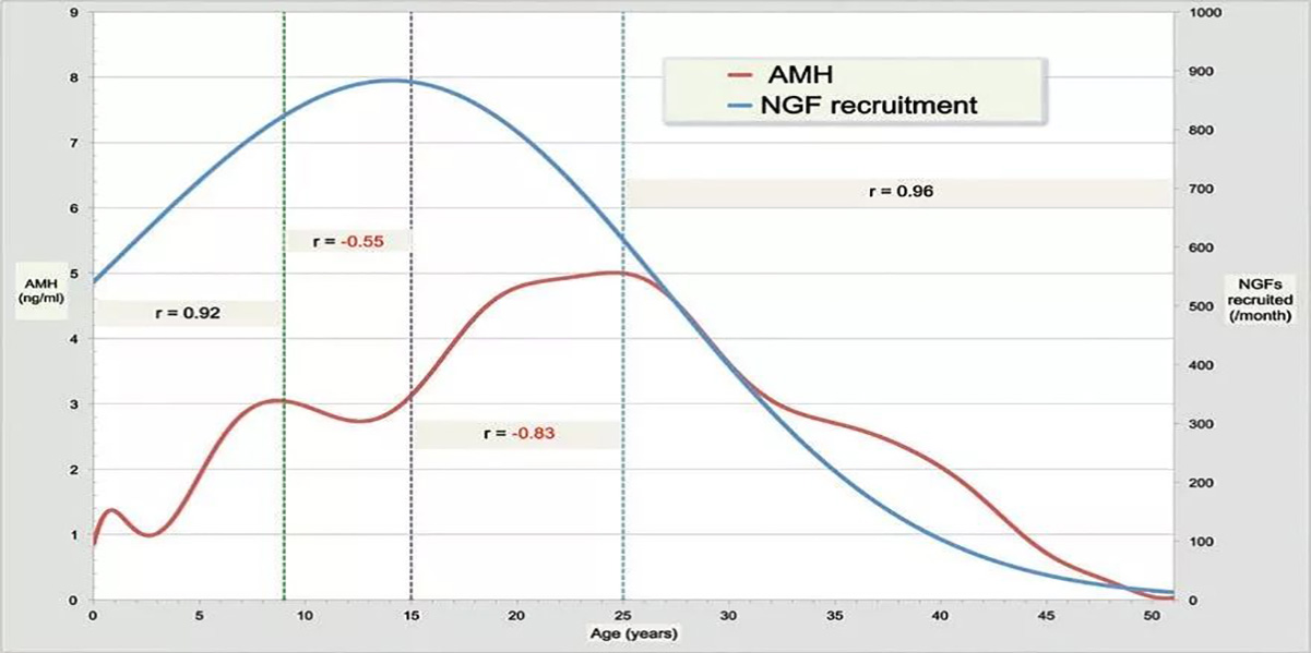 AMH值下降后还有可能回升吗-