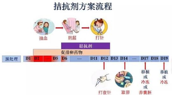 拮抗剂方案适用人群