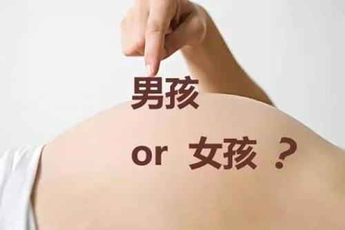 孕妇梦见熊猫是不是胎梦？生男生女？