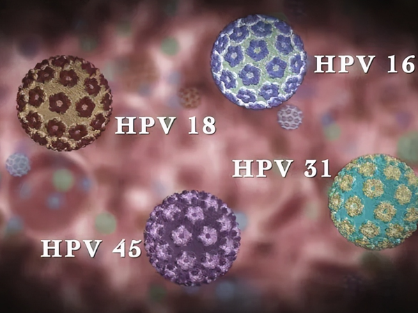 最严重的5个hpv高危型号是什么？求严重程度对照表