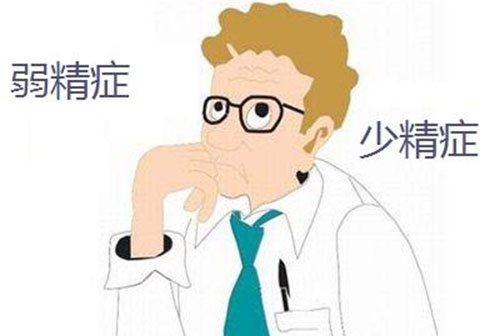 导致少精弱精的原因？怎么食补？