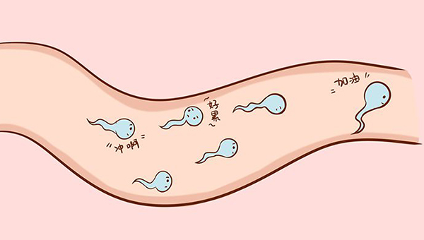 做爱后怎么快速判断精子进入子宫？