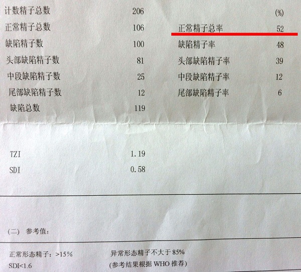 精子畸形检查单