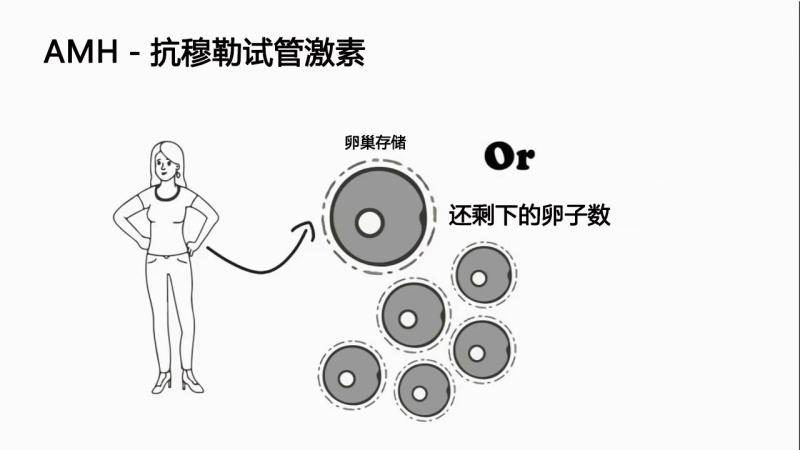 amh是什么？生殖医生让我去查查amh值