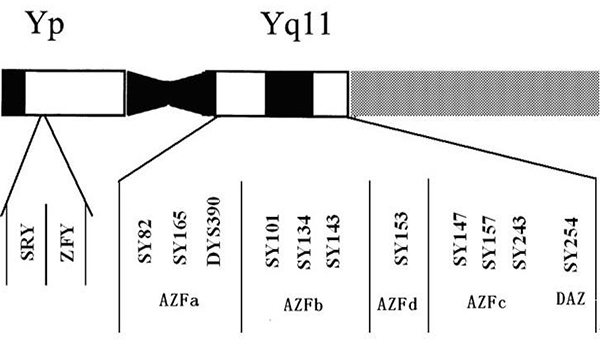 28岁老公因y染色体微缺失少精能做试管吗？