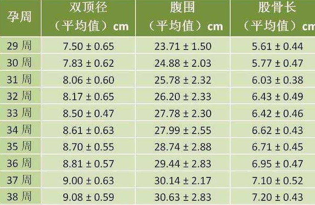 双顶径股骨长判断男女