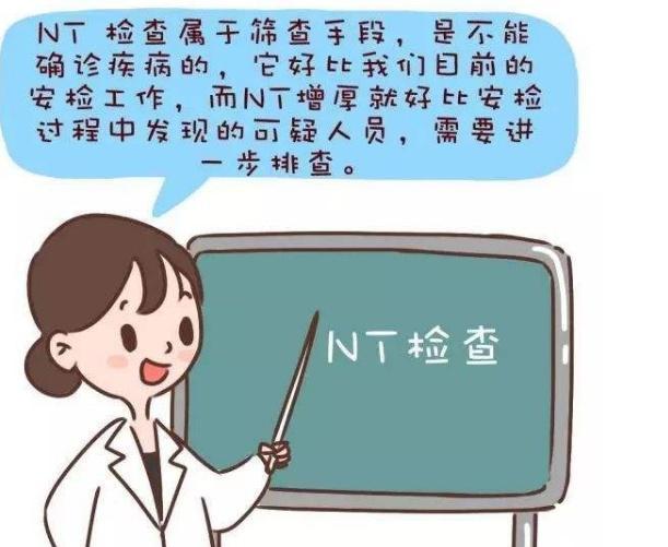 NT检查