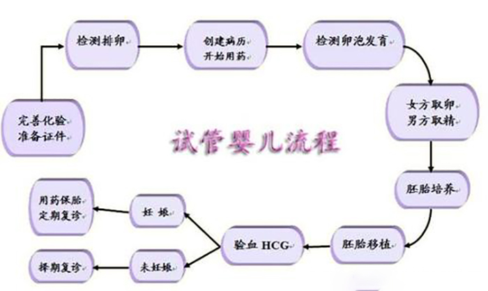 试管婴儿的步骤流程和时间,谁知宫寒做试管的最佳月份-