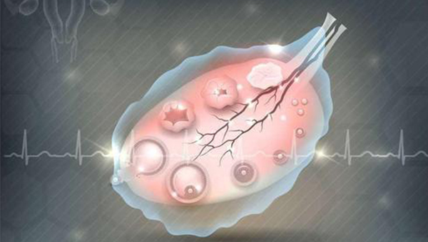 准确监测卵泡能增加受孕几率