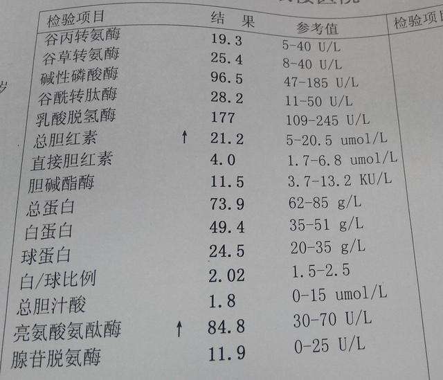 医院检查各项指标正常