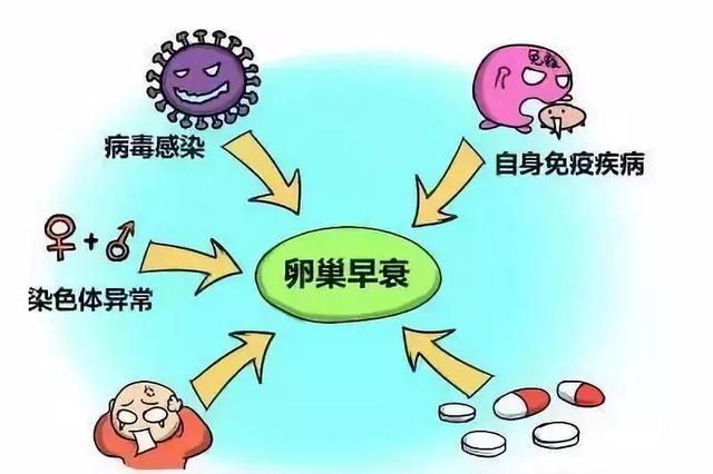 卵巢早衰的原因有哪些？