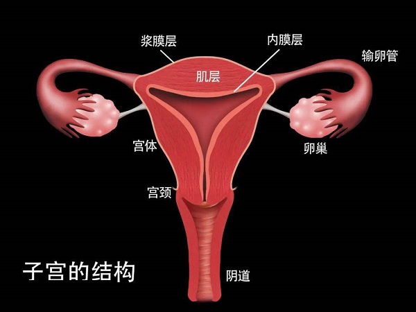 有子宫内膜是不是就证明基底层没有受伤吗？