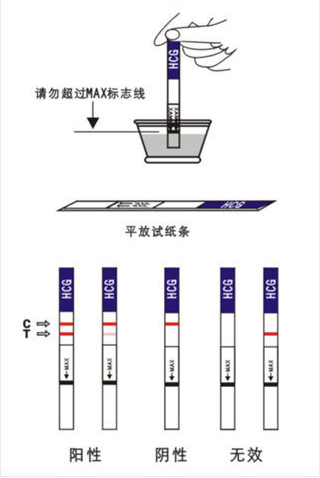 验孕棒要怎么看啊？感觉不是很准。