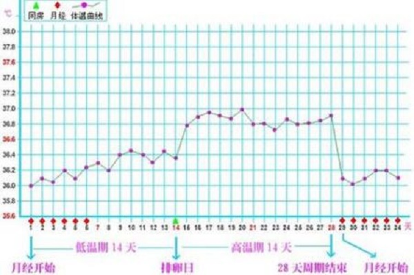 同房后着床降温