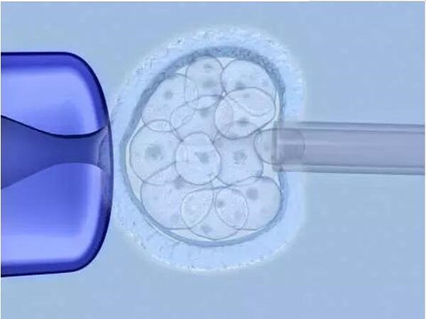 试管移植前一天检查子宫内膜厚度为14mm适合移植冻胚吗？