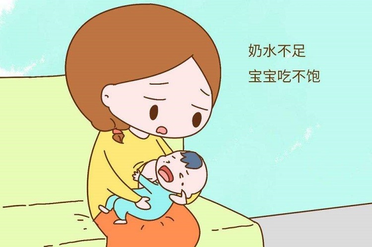 急！求最有效的催乳中药方？