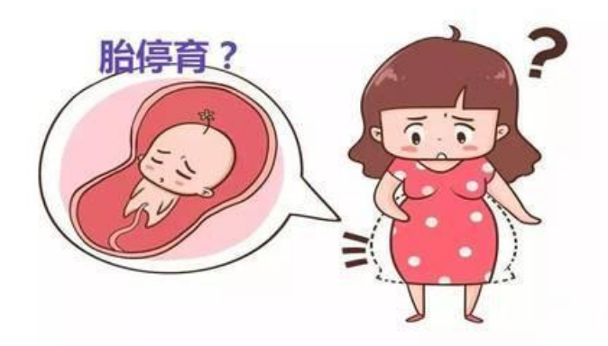 导致胎停育的原因是什么？我们又该怎么去预防？