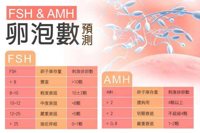 AMH与卵泡数量的关系