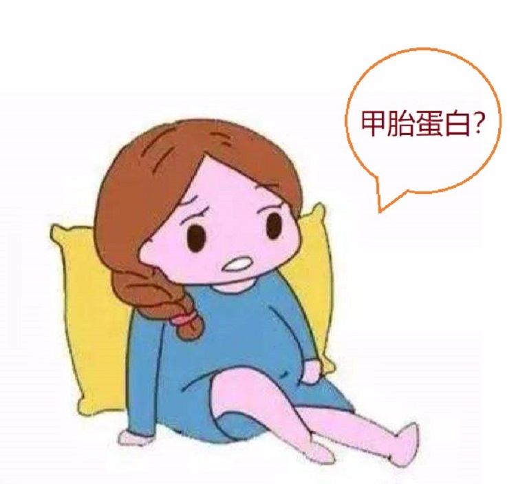 甲胎蛋白是什么？正常值范围是多少-