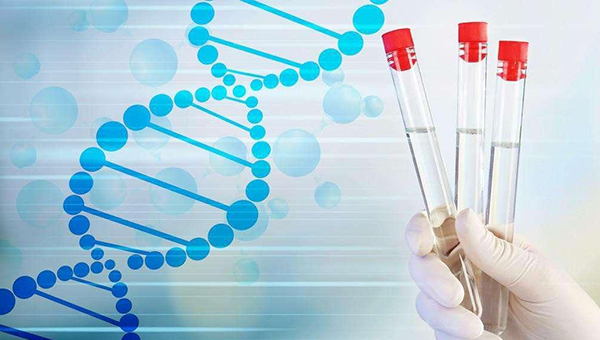 三代试管可避免遗传病发生