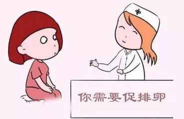 拮抗剂方案成功率如何吗？有多大？