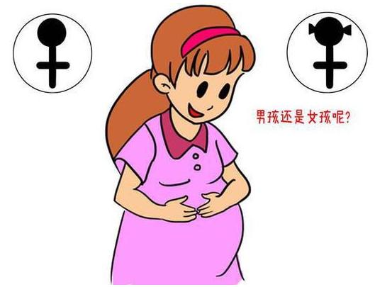 孕期食欲不振多怀女孩，这种说法靠谱吗？