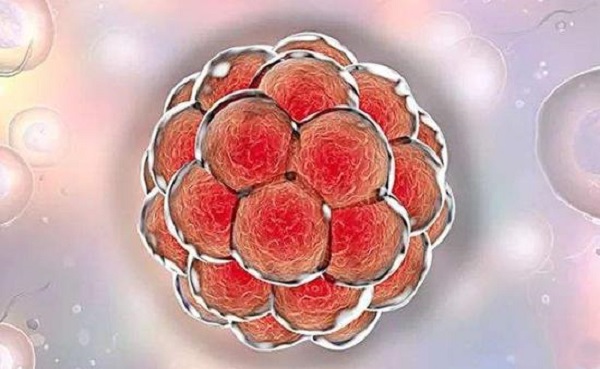 两枚优质囊胚也会着床失败